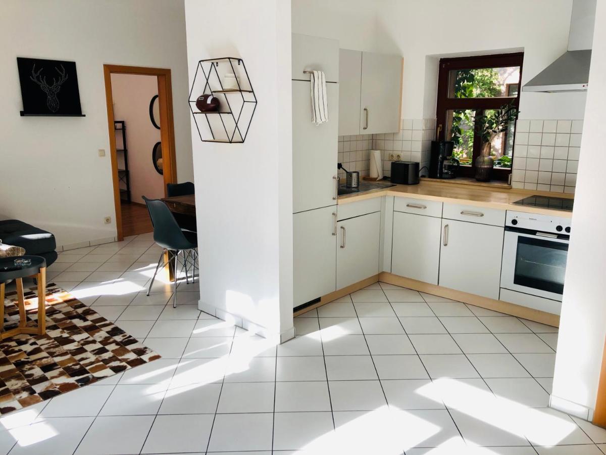 Ferienwohnungen Mit Terrasse In Zwingernaehe - Hilger Rentals Dresden Ngoại thất bức ảnh